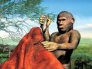 Первые гоминоиды — человекообразные обезьяны